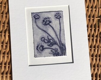 Original Monoprint Wild Pincushions No.20