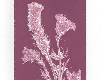 Monoprint Art Card Prairie Flower No.3