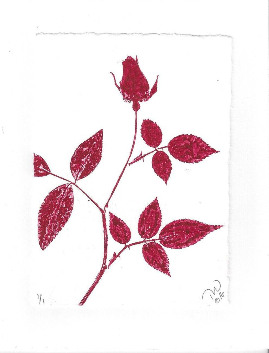 Red Roz Print Monoprint Art Card Red Rose No.7 - Etsy