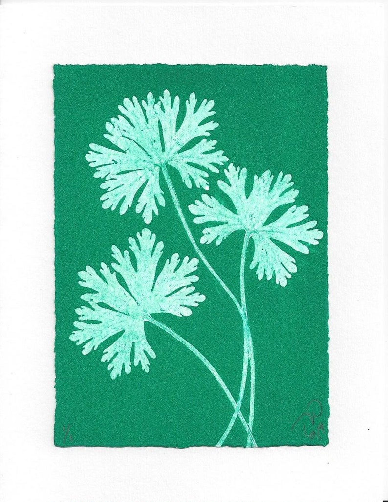 Original Monoprint Wild Geranium No.19 image 2