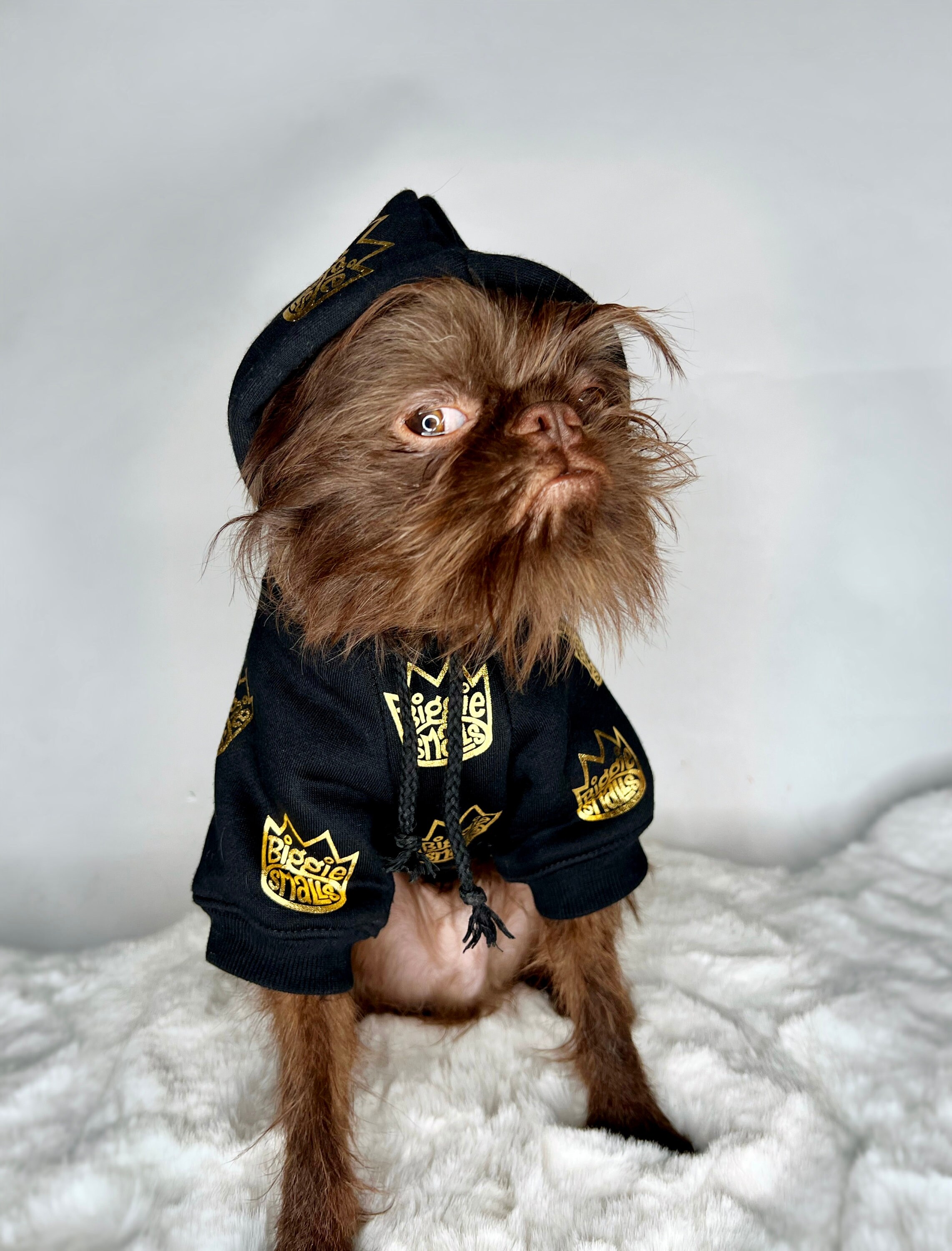 biggie smalls dog shirt