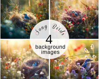 Song Birds in the sunrise meadow Digital Backgrounds Set of 4 | Avian Scenery Downloadable Art Prints | Commercial licence included