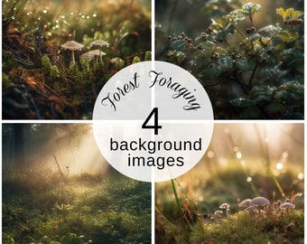 Forest Foraging Digital Backgrounds Set of 4 | Woodland Scenery Downloadable Art Prints | Commercial licence included