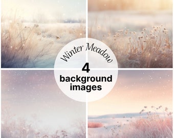 Frozen Winter Meadow | Set of 4 Background Images | Commercial licence included