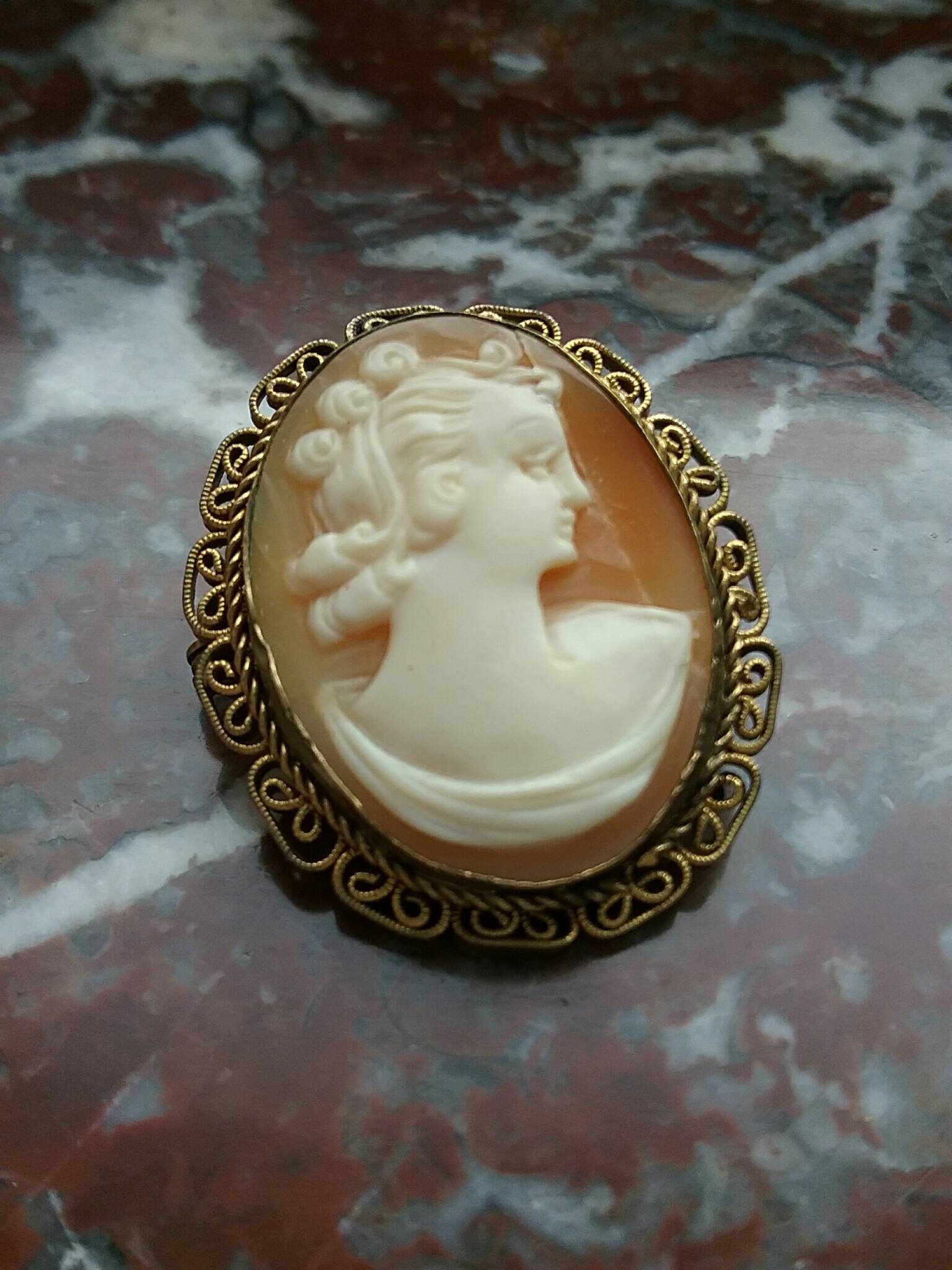 Broche Ancienne Vintage En Camée De Nacre Sculptée - Début 1900 - Bijou D'époque