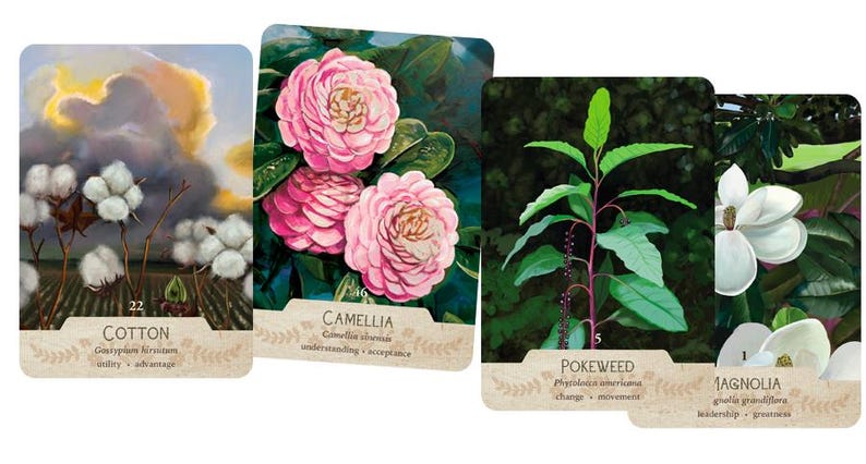 May include: Four oracle cards featuring botanical illustrations. The cards depict cotton, camellia flowers, pokeweed, and a magnolia flower. Each card has a decorative border and text identifying the plant and associated keywords.