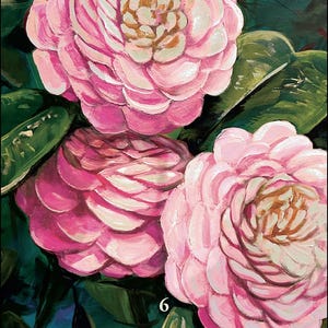 May include: An illustration of three pink camellia flowers with green leaves against a dark background. The flowers have a layered petal design with a light brown center. The number 6 is visible, along with the word "Camellia" and the words "understanding &bull; acceptance."