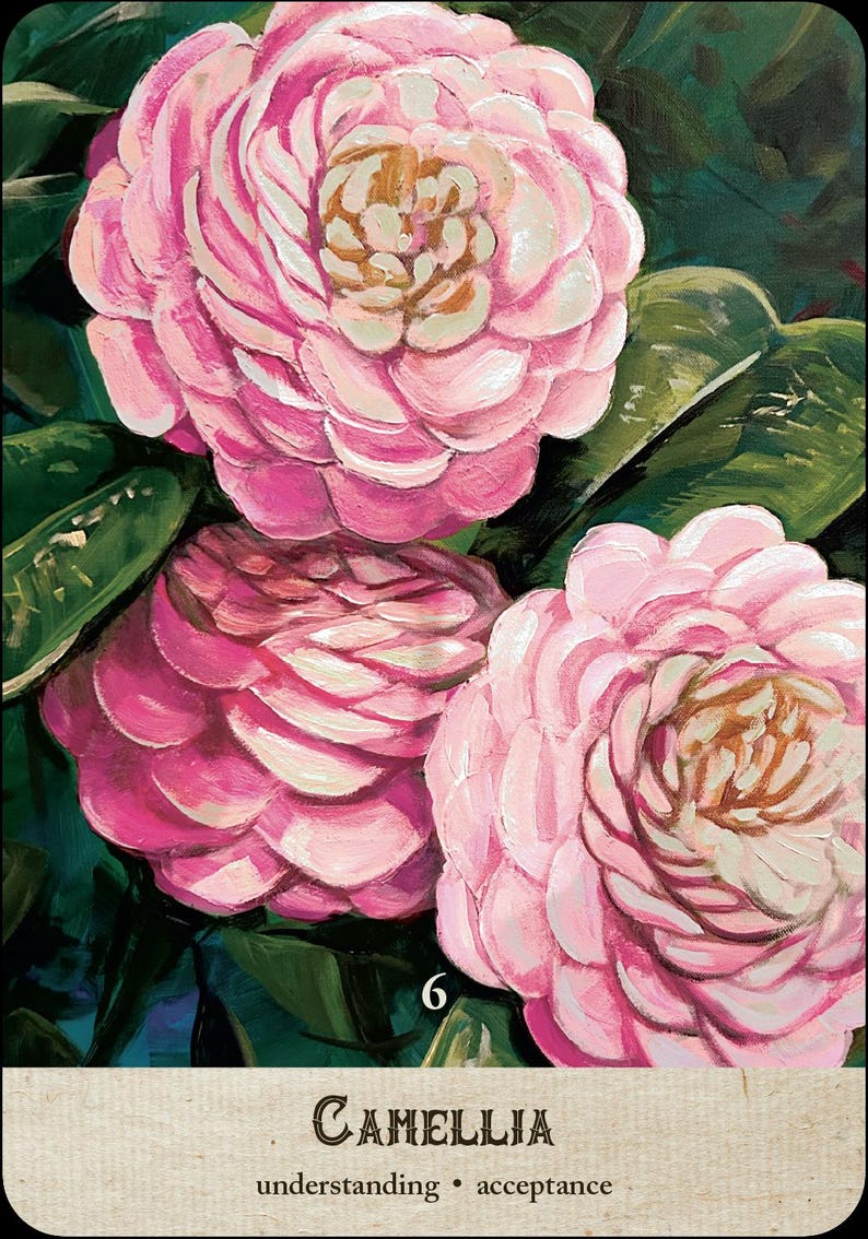 May include: An illustration of three pink camellia flowers with green leaves against a dark background. The flowers have a layered petal design with a light brown center. The number 6 is visible, along with the word "Camellia" and the words "understanding &bull; acceptance."