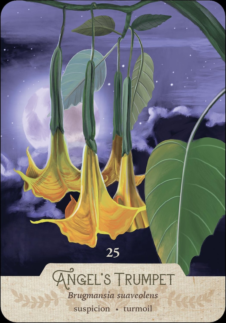 May include: An illustration of an Angel's Trumpet card. The image features several yellow, trumpet-shaped flowers hanging from a green stem, with large green leaves. The background is a dark blue night sky with a full moon and the number 25.