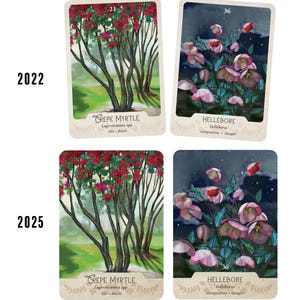 May include: Four tarot cards with botanical illustrations. Two cards feature Crepe Myrtle trees with the text "CREPE MYRTLE" and "life death". The other two cards show Hellebore flowers with the text "HELLEBORE" and "temptation danger". The numbers 21 and 36 are also visible.
