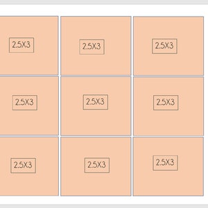 PRE CUT 2.5x3 rectangle  (9) edible images