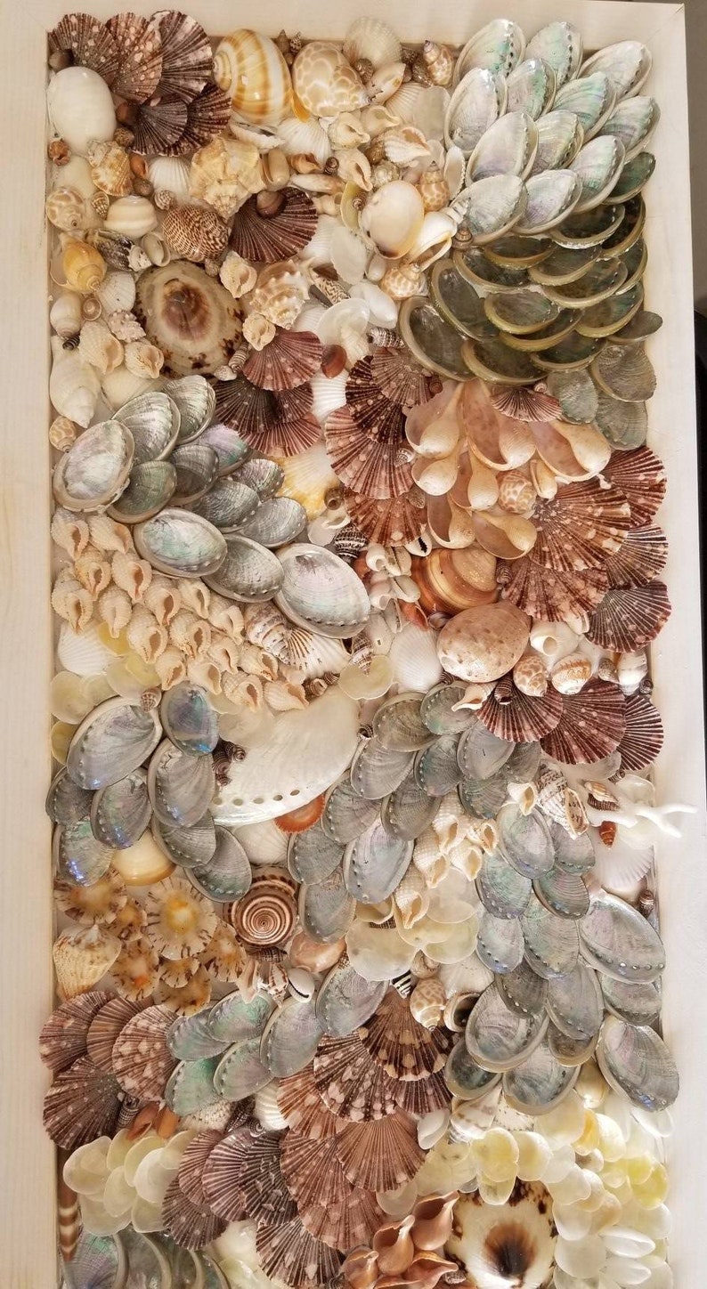 Seashell Wall Art Mosaic Unique Sea Shell Decor-beach | Etsy Australia