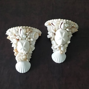 May include: Two seashell wall sconces. Each sconce is white and decorated with various seashells, sand dollars, and coral. The sconces have a half-moon shape with a large scallop shell at the bottom. The background is a dark brown.