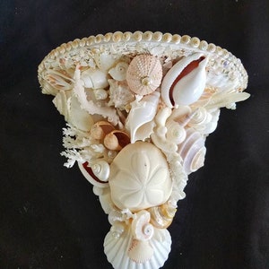 Wall Shelf ,Sea Shell Sconce, shell Decor-Beach Decor-Coastal Wall Art,Sea Shell Wall  Brackets Home  Natural Boho Style Home Handmade