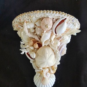 Wall Shelf,Sea Shell Sconce,Sea shell Decor-Beach Decor-Coastal Wall Art,Sea Shell Wall Sconce Wall Brackets  Home inspo