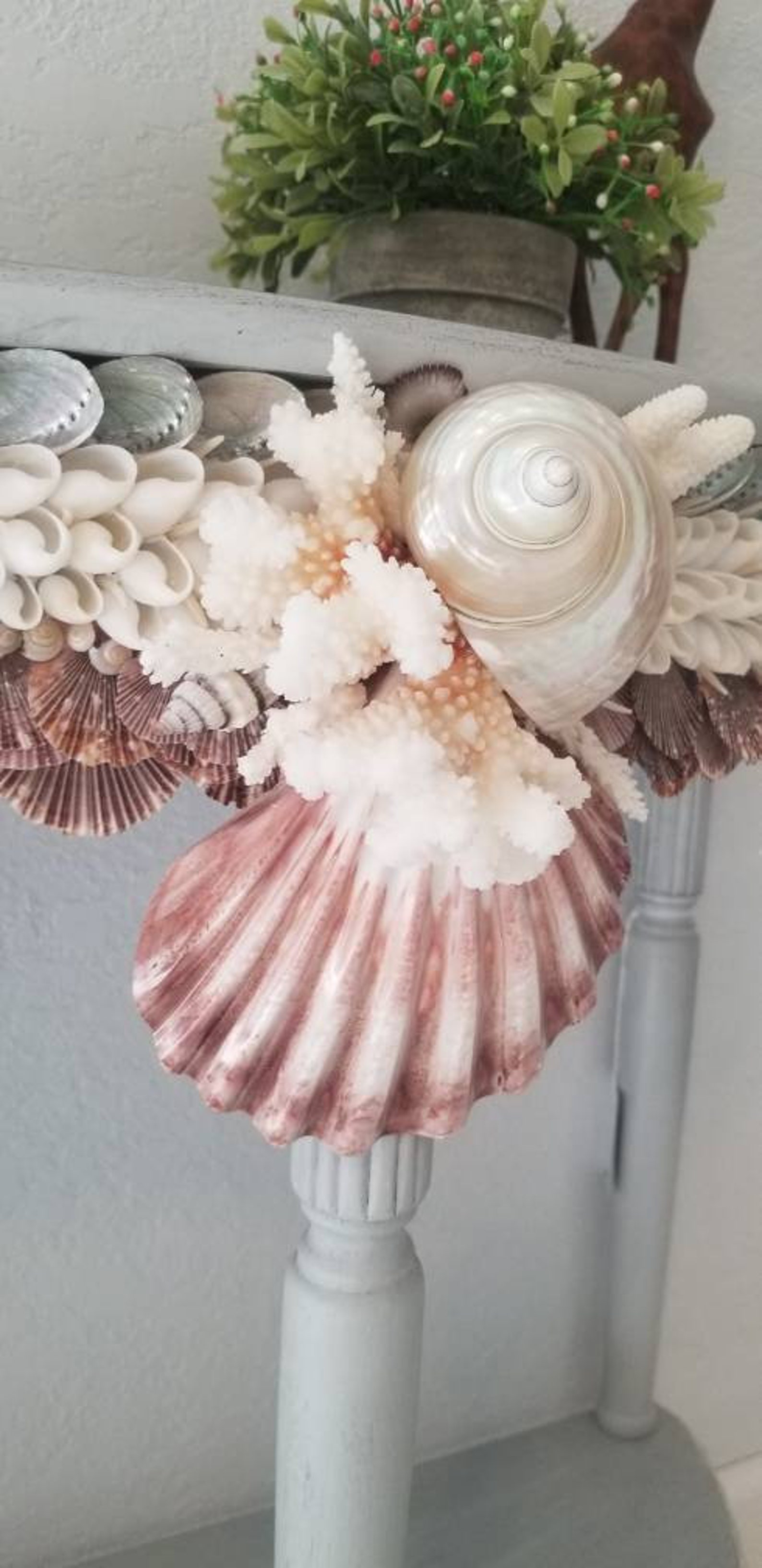Sea Shell Wall Art Coastal Wall Art Home Decor Shell Art Shell Etsy