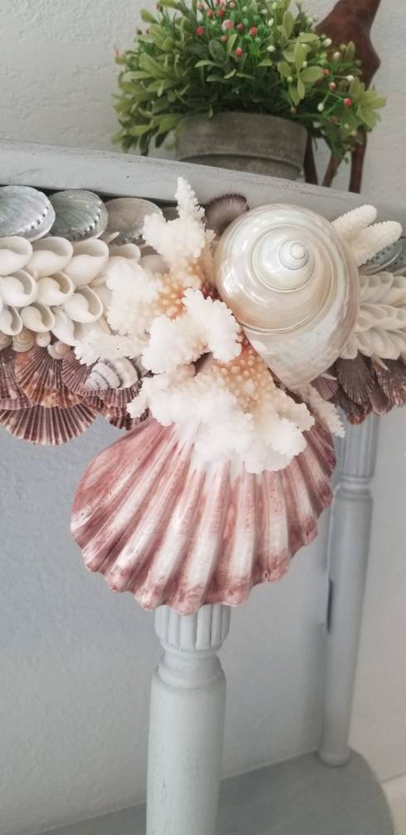 Sea Shell Wall Art Coastal Wall Art Home Decor Shell Art Shell Etsy