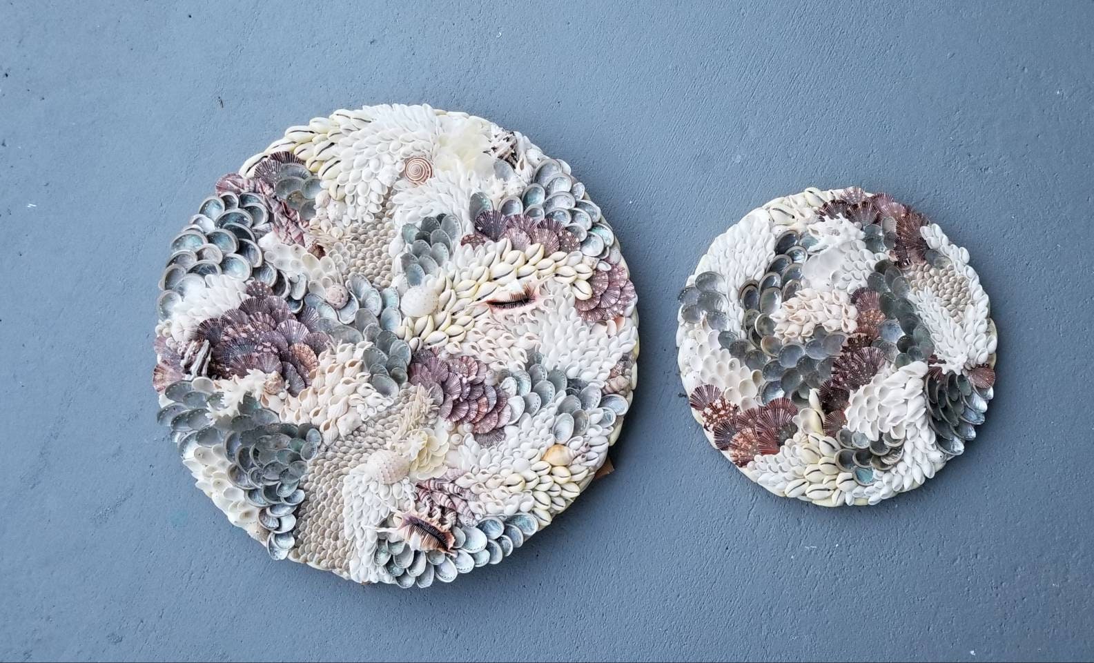 Sea Shell Wall Art Coastal Wall Art Home Decor Shell Art Shell Etsy UK