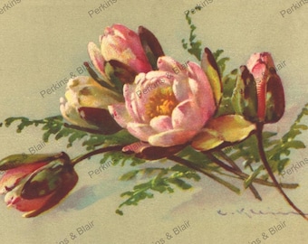 Vintage rosa Blumen-Postkarte Bild Digital Download druckbare Ephemera