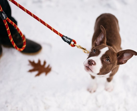 recycled pet rope