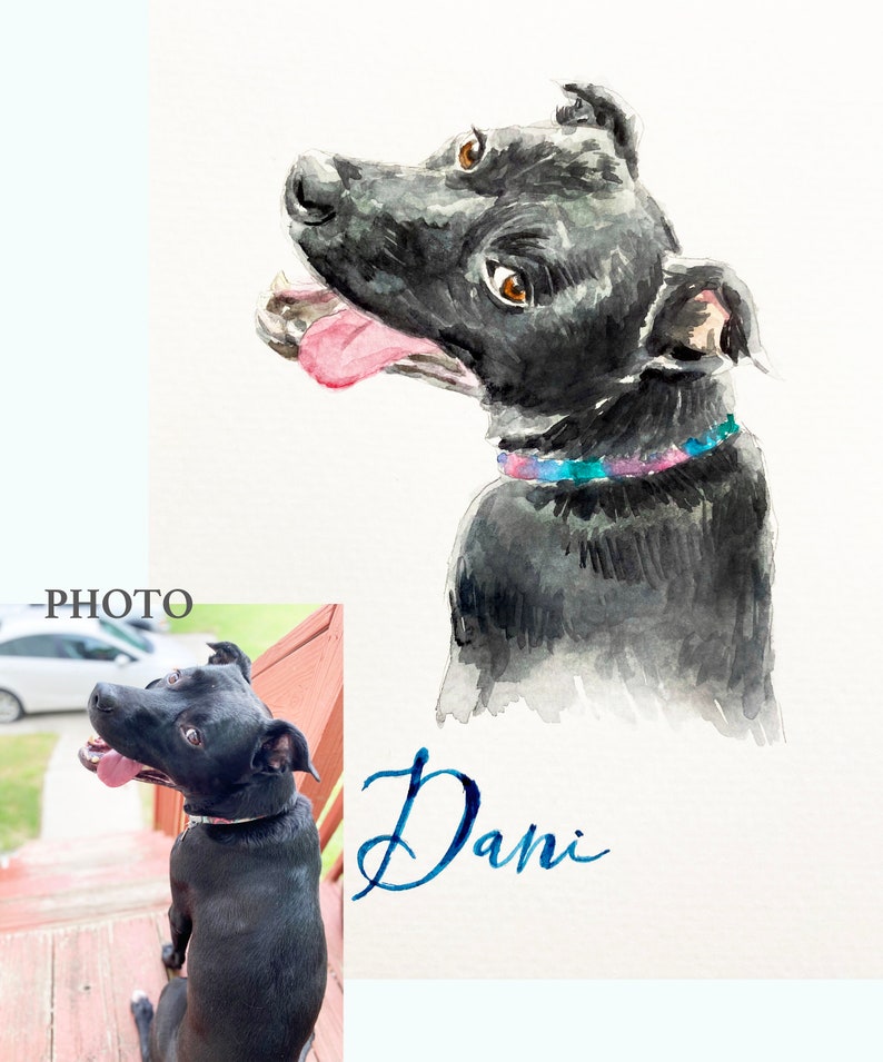 Pet Portrait, Painting from Photo, Watercolor Painting of Pet, Dog or Cat painting, deceased pet, memorial gift, 4x6 5x7 8x10, Dog Portrait image 9