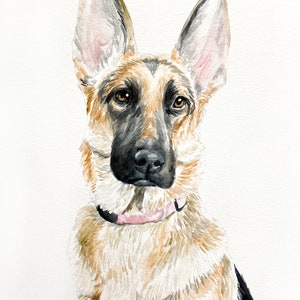 Pet Portrait, Painting from Photo, Watercolor Painting of Pet, Dog or Cat painting, deceased pet, memorial gift, 4x6 5x7 8x10, Dog Portrait image 4