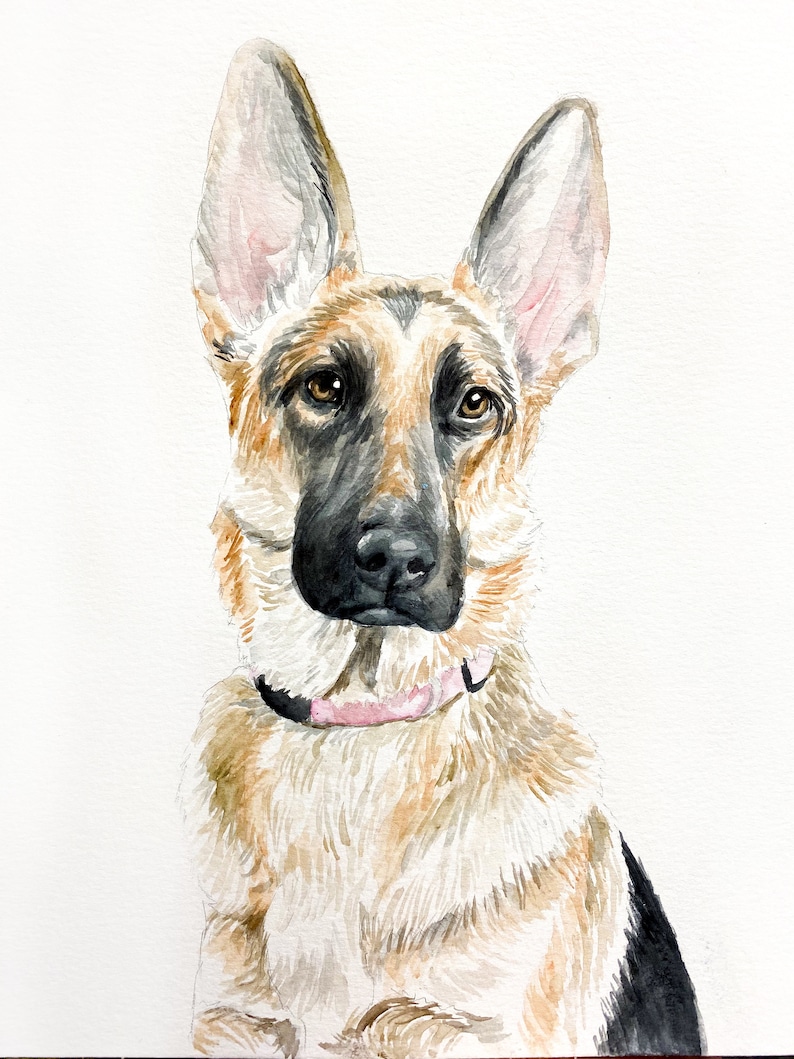 Pet Portrait, Painting from Photo, Watercolor Painting of Pet, Dog or Cat painting, deceased pet, memorial gift, 4x6 5x7 8x10, Dog Portrait image 4