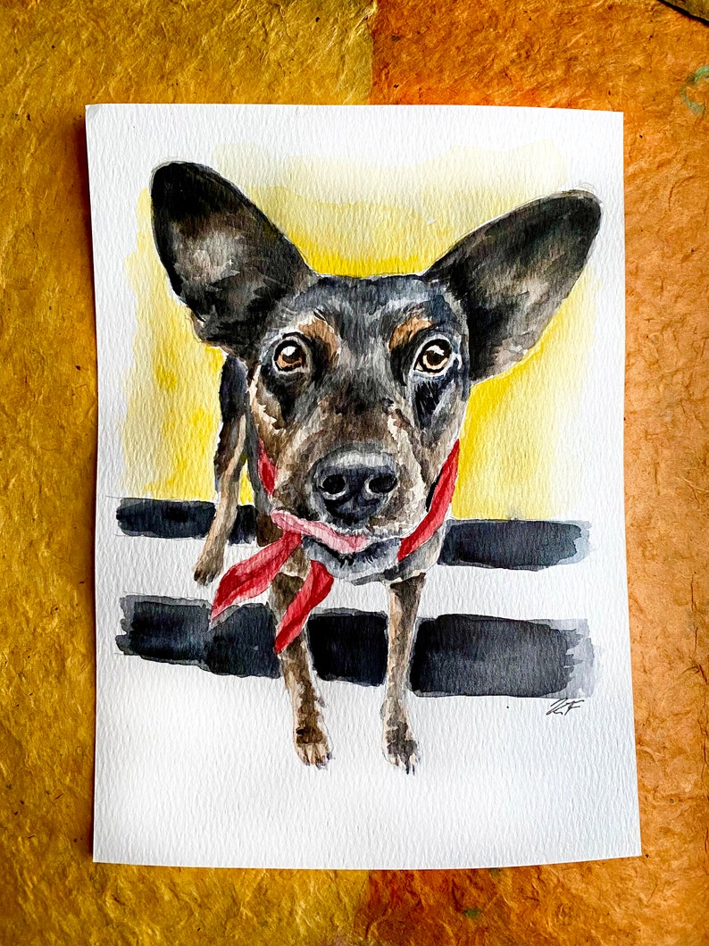 Pet Portrait, Painting from Photo, Watercolor Painting of Pet, Dog or Cat painting, deceased pet, memorial gift, 4x6 5x7 8x10, Dog Portrait image 6