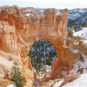 Puede incluir: Un arco natural de piedra en un cañón de roca roja, con nieve en el suelo y árboles en la distancia. El arco es una formación natural en la roca, y la nieve es un signo de invierno.