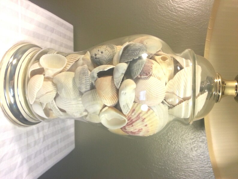 Glass Table Lamp filled with seashells Fillable Electric Lamp Etsy