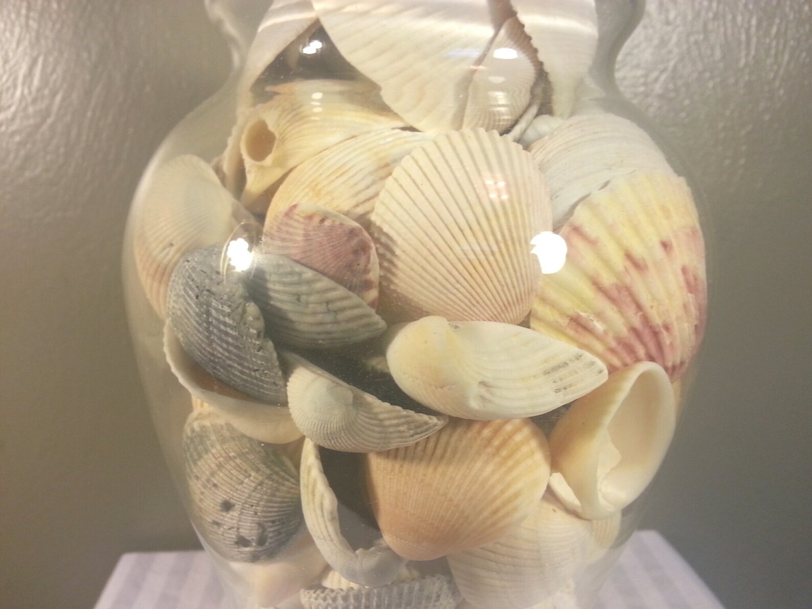 Glass Table Lamp filled with seashells Fillable Electric Lamp Etsy