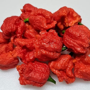 Organic Dragon's Breath Sriracha Blazing Dragon 2,480,000 SHU pepper Hotter than reaper you be the judge image 3