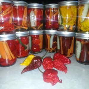May include: Ten glass jars filled with pickled peppers and carrots. The jars are arranged in two rows of five. The jars are clear glass and the contents are visible. The peppers are red, yellow, and green. The carrots are orange. The jars are on a white surface.
