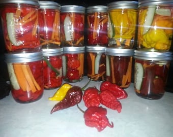 Fresh Pickled Carolina Reaper, Ghost Pepper, Moruga, Bhutlah, Butch T's, Habanero, 7pot primo and other SUPERHOTS!!! Insane and painful!