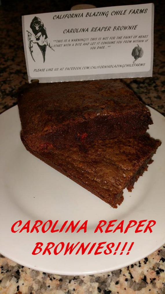 carolina reaper brownie or brookie hottest brownie or brookie etsy