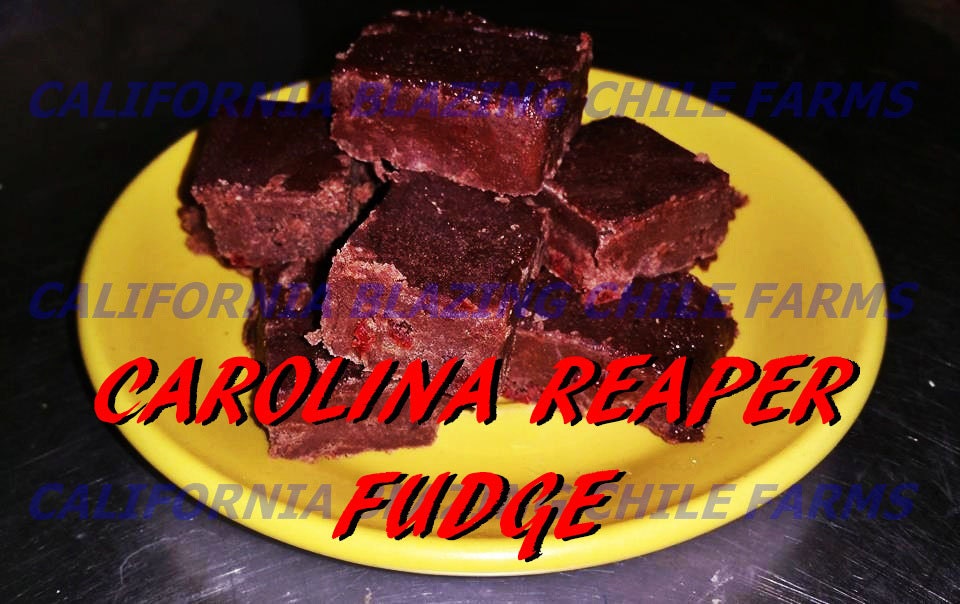 carolina reaper fudge world