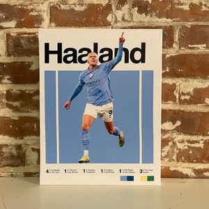 May include: A poster featuring a photo of a soccer player in a blue jersey with the text "Haaland" at the top. The player is celebrating a goal with his arm raised. The poster also includes a list of the player's accomplishments, including "4 x Footballer of the Year", "1 x German Cup Winner", "1 x Austrian Champion", "1 x Austrian Cup Winner", "1 x TTM Player of the Season", and "3 x Top Goal Scorer".