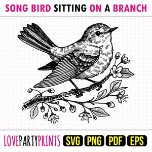 Oiseau chanteur sur une branche SVG, PNG, EPS, Pdf, dessin au trait, découpe laser Cnc impression graphique vectoriel Dye Sub modèle, téléchargement immédiat, 1721