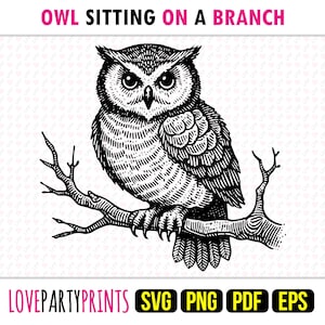 Owl On Branch SVG, PNG, EPS, Pdf, Bird Line Drawn, Machine Cut Laser Cnc Vector Graphic Print Dye Sub Template, Instant Download, 1735