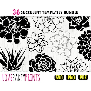 Paquete SVG de suculentas, PNG, PDF, 36 imágenes prediseñadas de suculentas, plantilla de corte de papel, silueta de suculenta, cactus svg, archivos de corte a máquina, (svg848)