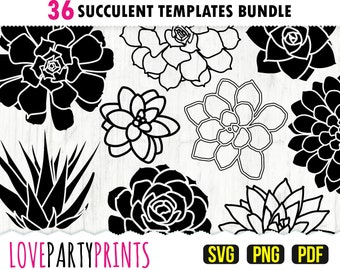 Succulent SVG Bundle, PNG, PDF, 36 succulent clipart, paper cut template, succulent silhouette, cactus svg, machine cut files, (svg848)