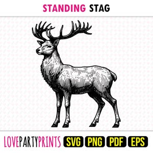Standing Stag SVG, PNG, EPS, Pdf, Male Deer Line Drawn, Machine Cut Laser Cnc Vector Graphic Print Dye Sub Template, Instant Download, 1728