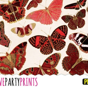 Red Butterflies Clipart, PNG format, Glitter Butterflies, Antique Illustrations, Vintage Butterfly Clipart, (CA35)