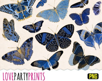 Blauwe vlinders clipart, png-indeling, gouden glitter vlinders, antieke illustraties, vintage vlinder clipart, (CA34)