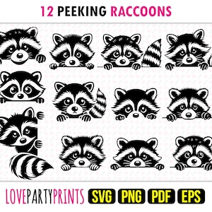 May include: Twelve black and white silhouette images of raccoons peeking over a surface. Each raccoon has a bushy tail and is looking to the right. The text "12 PEEKING RACCOONS" is at the top of the image.