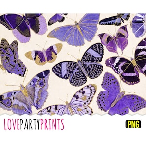 Clipart papillons violets, format PNG, papillons scintillants dorés, illustrations anciennes, clipart papillon vintage, (CA31)