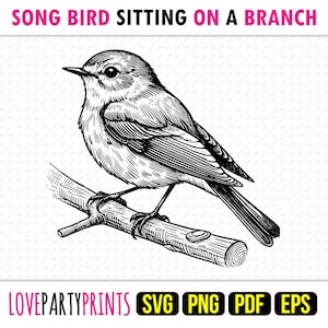 Liedvogel op tak SVG, PNG, EPS, Pdf, lijngetekende, machine gesneden laser CNC vector grafische print kleurstof subsjabloon, Instant Download, 1720