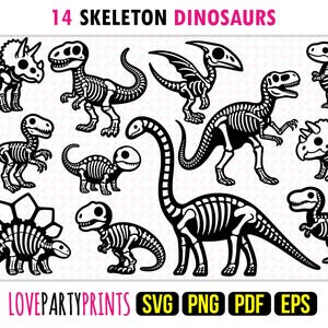 May include: A set of 14 black and white skeleton dinosaur illustrations. The dinosaurs are in various poses, including standing, walking, and running. The illustrations are perfect for use in crafts, scrapbooking, and other creative projects.