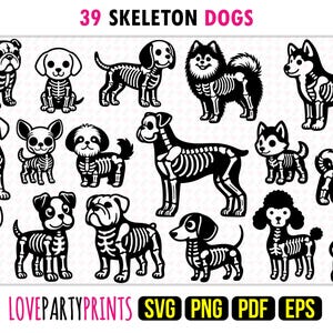 Ensemble de chien squelette SVG, EPS, PNG, Pdf, berger, bouledogue, husky, beagle, boxer, teckel, poméranien, caniche, téléchargement immédiat, 1656