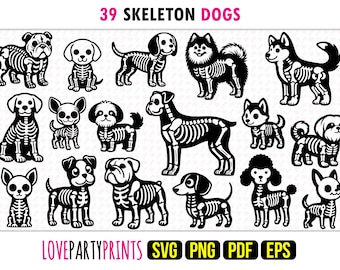Dog Skeleton SVG Bundle, EPS, PNG, Pdf, Shepherd, Bulldog, Husky, Beagle, Boxer, Dachshund, Pomeranian, Poodle, Instant Download, 1656